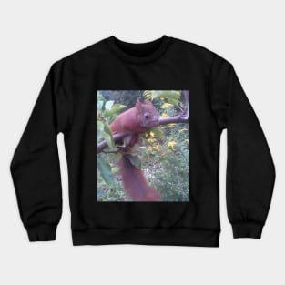 Squirrel-Skiper Crewneck Sweatshirt